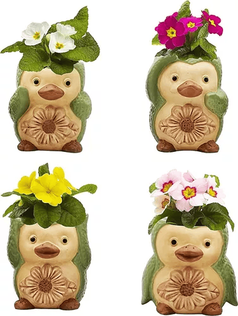 Juego De Macetas x4 Unidades Diseño Animal Premium Verde