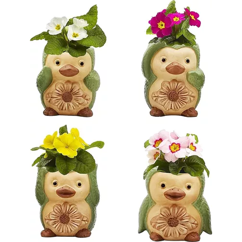 Juego De Macetas x4 Unidades Diseño Animal Premium Verde 2