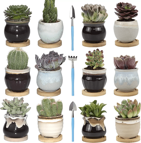 Juego Macetas Cerámica Premium Cactus Suculenta x12 Unidades