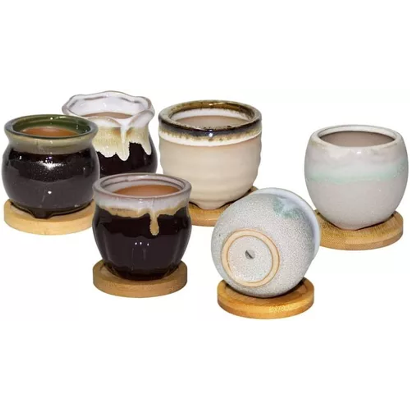 Juego Macetas Cerámica Premium Cactus Suculenta x12 Unidades 7