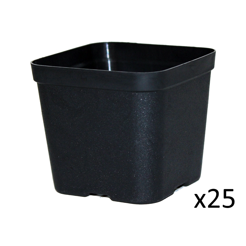 Maceta Plástica De Siembra Tipo Vivero 7cm Cuadrada x25 unidades 2