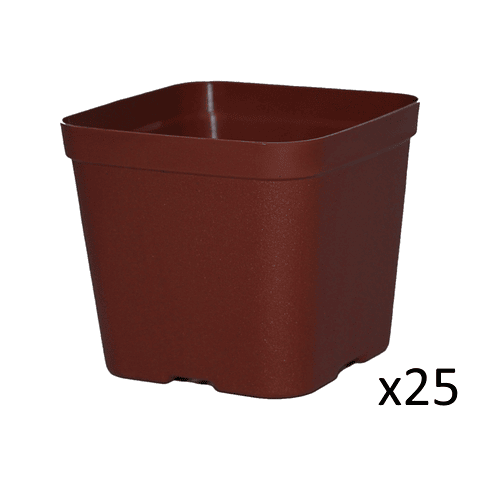 Maceta Plástica De Siembra Tipo Vivero 7cm Cuadrada x25 unidades