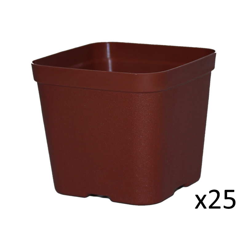 Maceta Plástica De Siembra Tipo Vivero 7cm Cuadrada x25 unidades 1