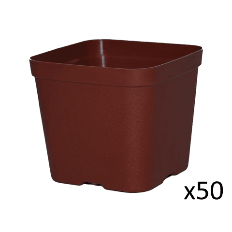 Maceta Plástica De Siembra Tipo Vivero 7cm Cuadrada x50 unidades