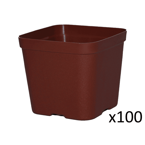 Maceta Plástica De Siembra Tipo Vivero 7cm Cuadrada x100 unidades