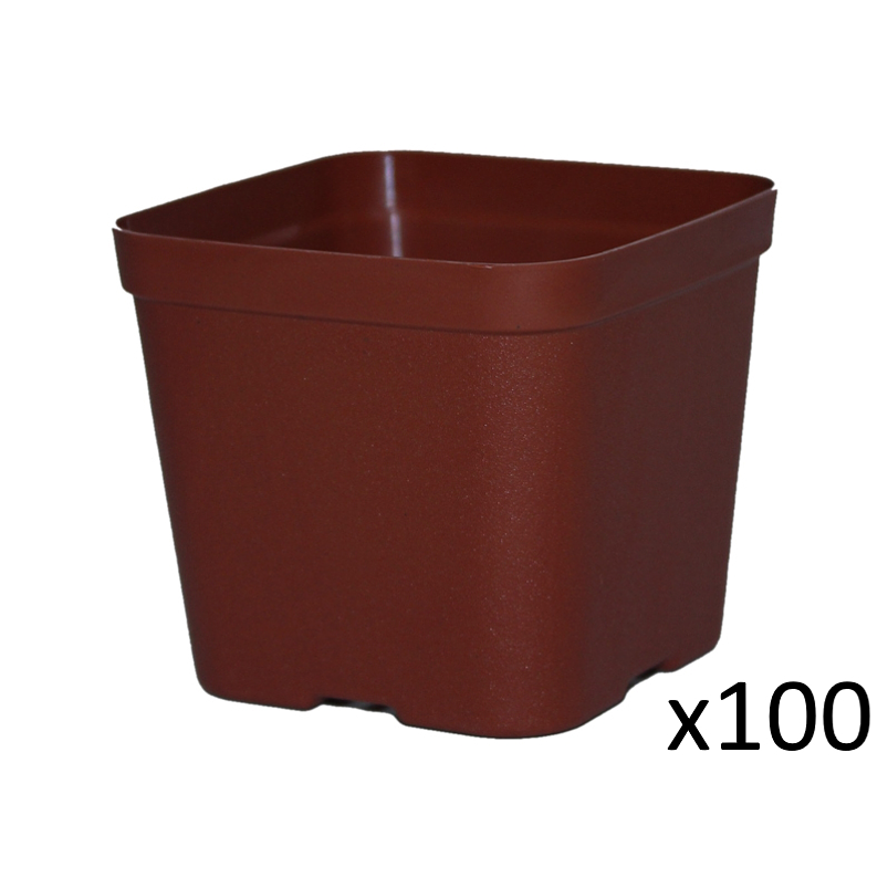 Maceta Plástica De Siembra Tipo Vivero 7cm Cuadrada x100 unidades 1