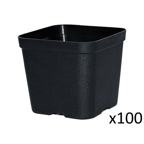 Maceta Plástica De Siembra Tipo Vivero 7cm Cuadrada x100 unidades