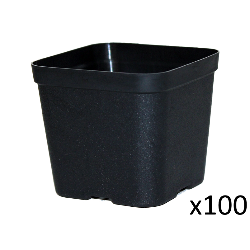 Maceta Plástica De Siembra Tipo Vivero 7cm Cuadrada x100 unidades 2