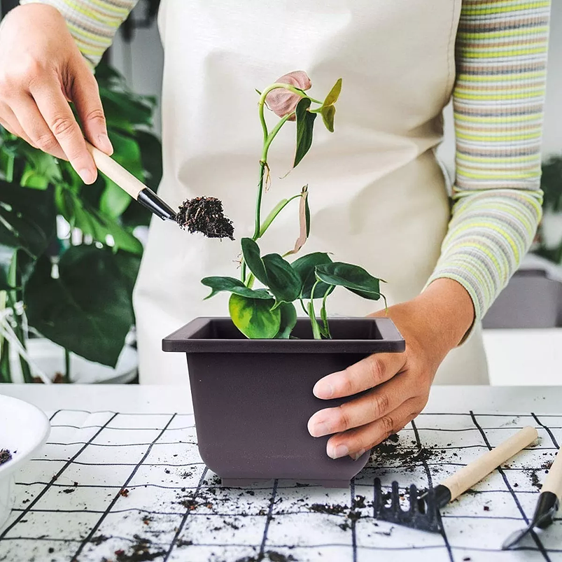 Maceta Plástica de Bonsái Cuadrada 13cm Ancho x 10cm Alto 3