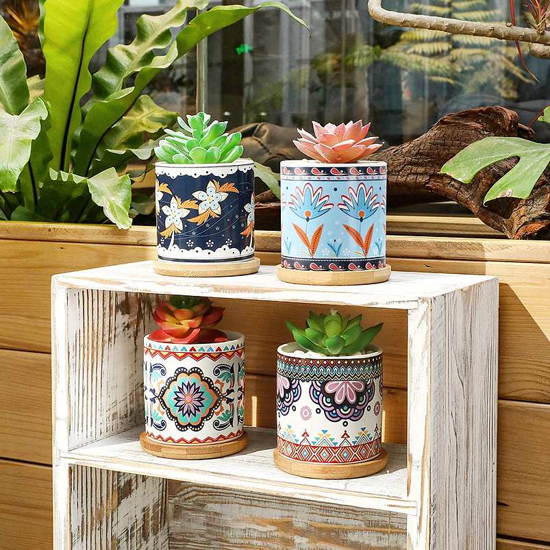 Juego Macetas Cerámica Premium Cactus y Suculentas x4 Unidades 4