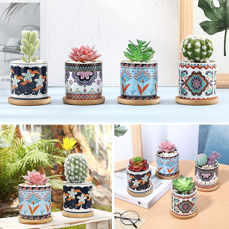 Juego Macetas Cerámica Premium Cactus y Suculentas x4 Unidades 2
