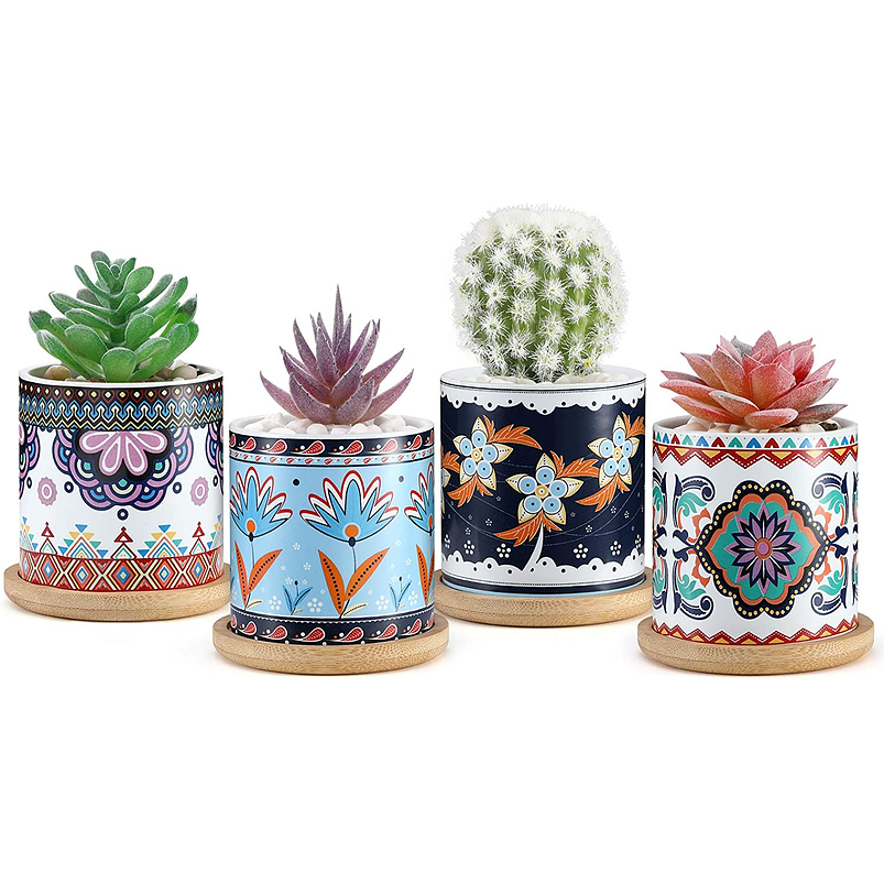 Juego Macetas Cerámica Premium Cactus y Suculentas x4 Unidades 1