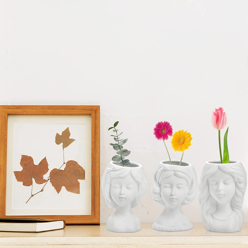 Juego Macetas Cerámica Fina x3 Unidades Cactus y Suculentas 8