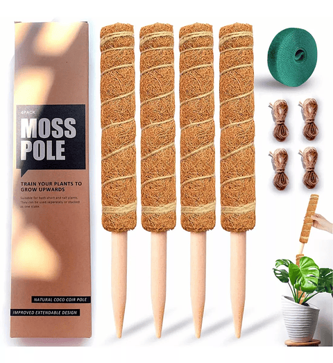 Soporte en Musgo de Coco para Plantas Trepadoras x4 Unidades