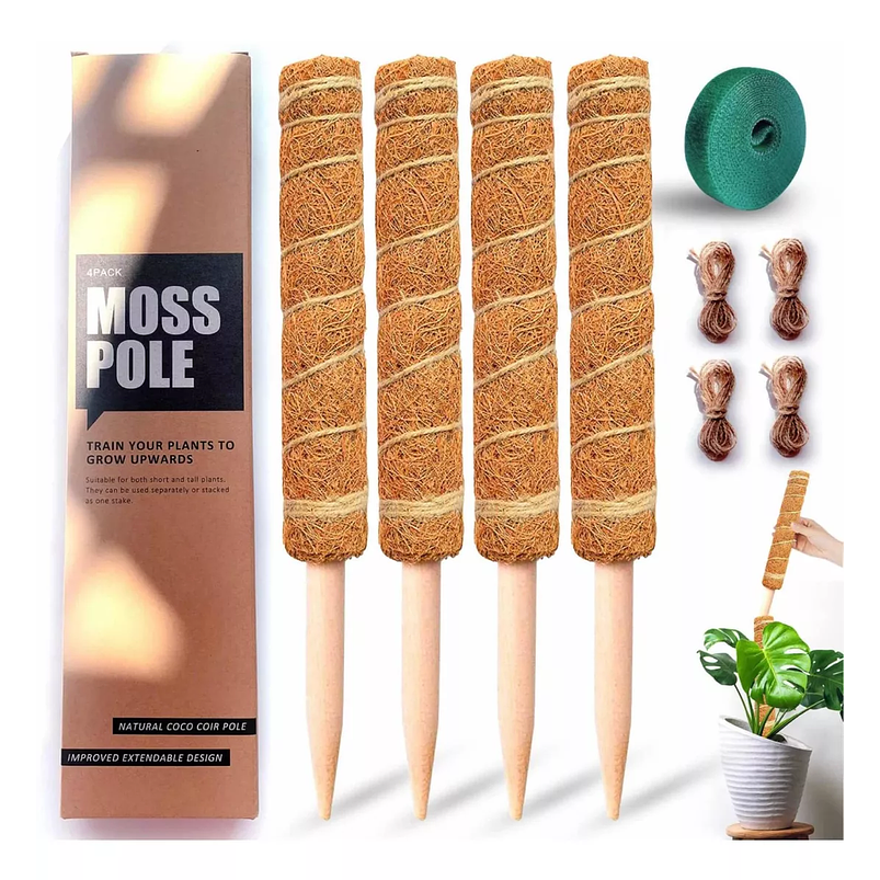 Soporte en Musgo de Coco para Plantas Trepadoras x4 Unidades 1
