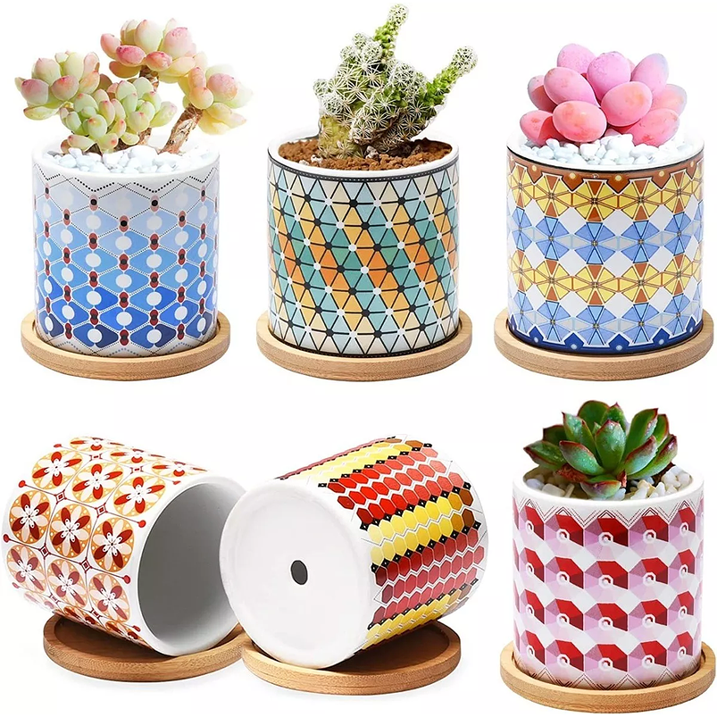 Juego Macetas Cerámica Premium x6 Piezas 8cm más plato Bambu 7