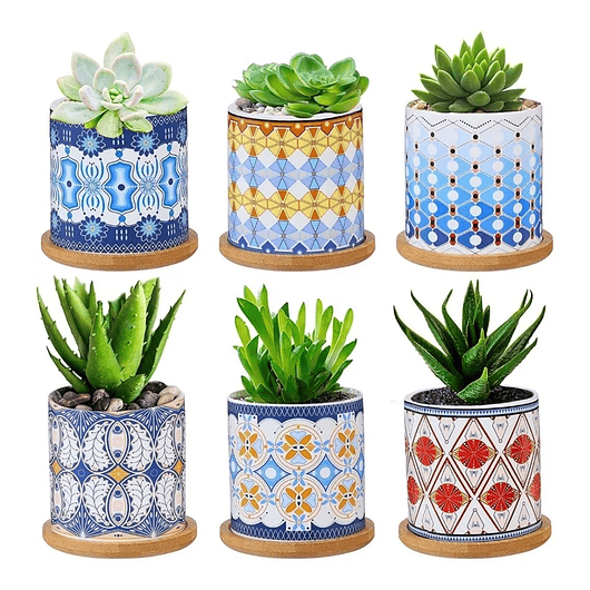 Juego Macetas Cerámica Premium x6 Piezas 8cm más plato Bambu 6