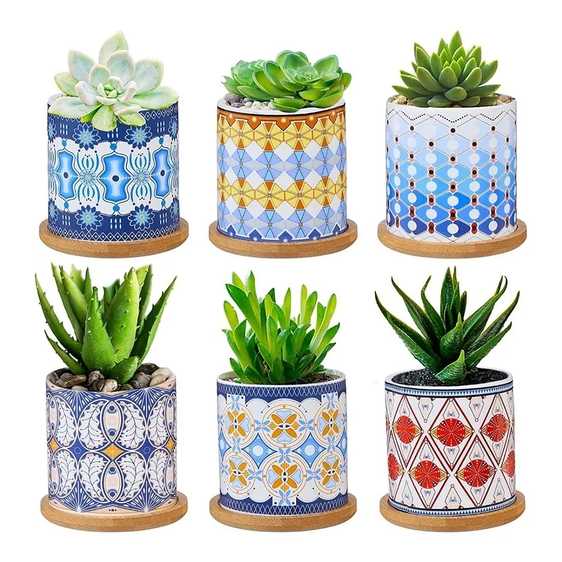 Juego Macetas Cerámica Premium x6 Piezas 8cm más plato Bambu 6