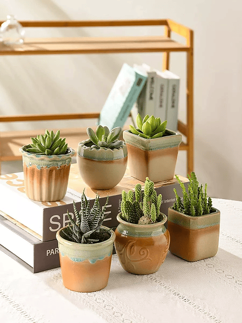 Juego Macetas Cerámica x8 Unid Plantas Cactus y Suculentas