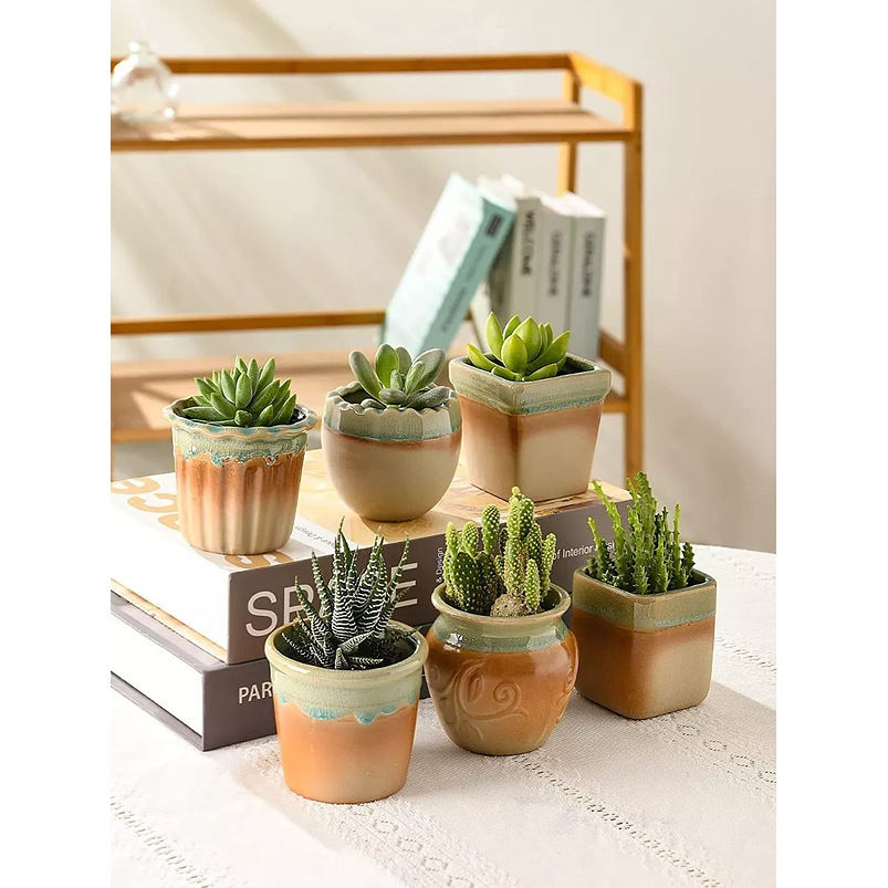 Juego Macetas Cerámica x8 Unid Plantas Cactus y Suculentas 2