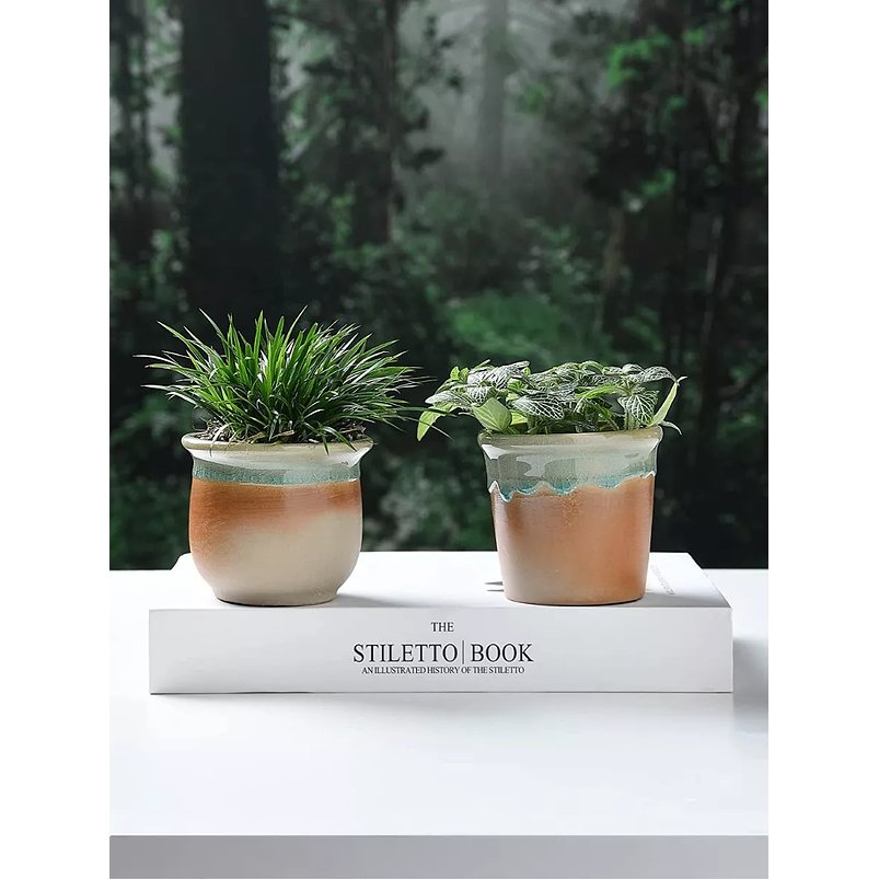 Juego Macetas Cerámica x8 Unid Plantas Cactus y Suculentas 4