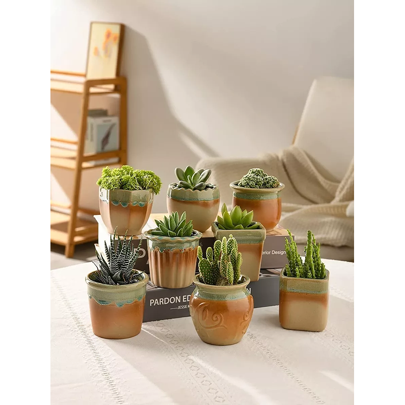 Juego Macetas Cerámica x8 Unid Plantas Cactus y Suculentas 5