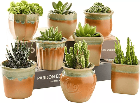 Juego Macetas Cerámica x8 Unid Plantas Cactus y Suculentas