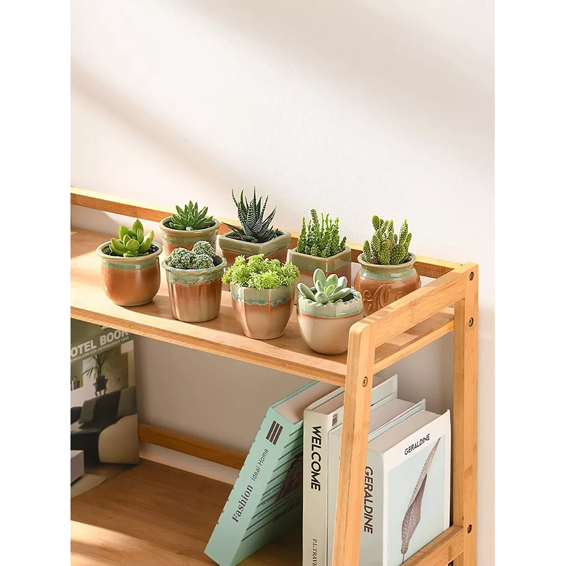 Juego Macetas Cerámica x8 Unid Plantas Cactus y Suculentas 6