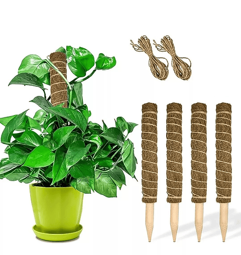 Soporte en Musgo De Coco Para Plantas Trepadoras x4unidades