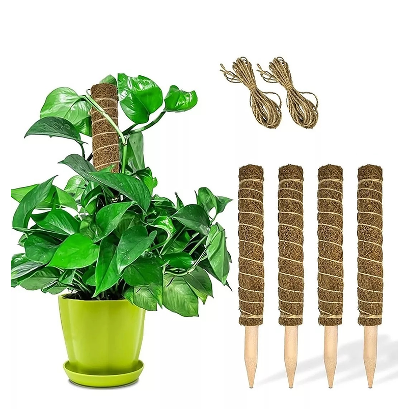 Soporte en Musgo De Coco Para Plantas Trepadoras x4unidades 1