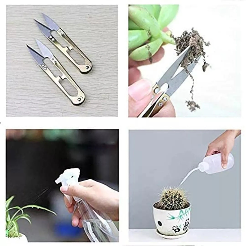 Kit Herramientas Plantas Cactus Suculenta x14 Piezas Azul 3