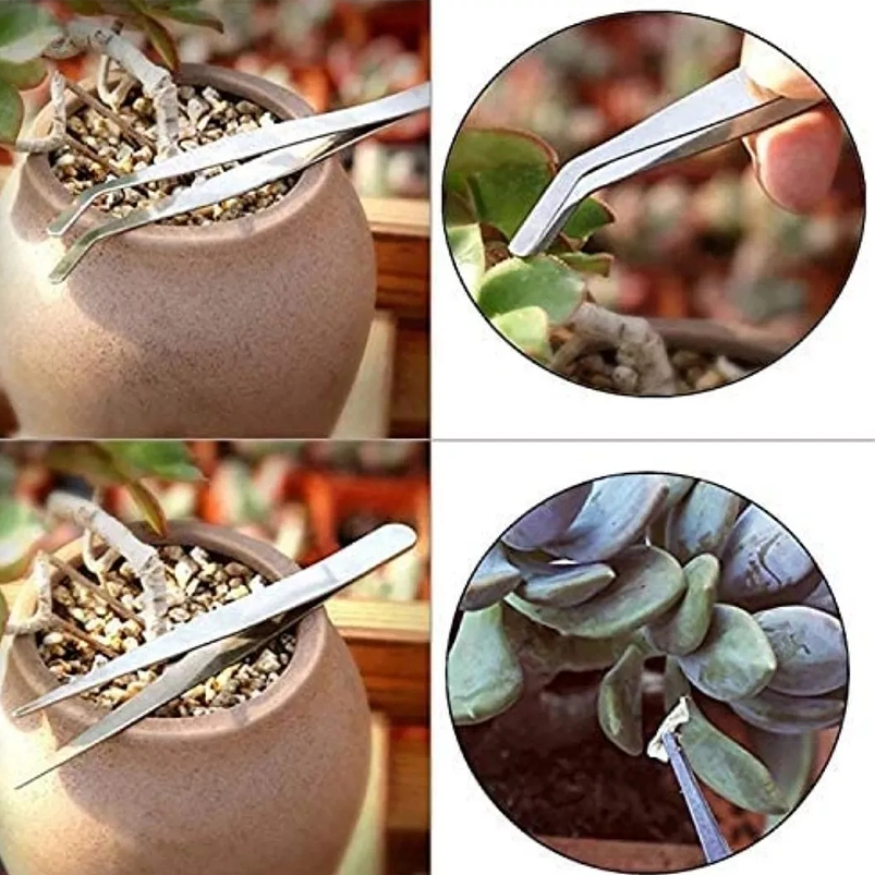 Kit Herramientas Plantas Cactus Suculenta x14 Piezas Azul 4