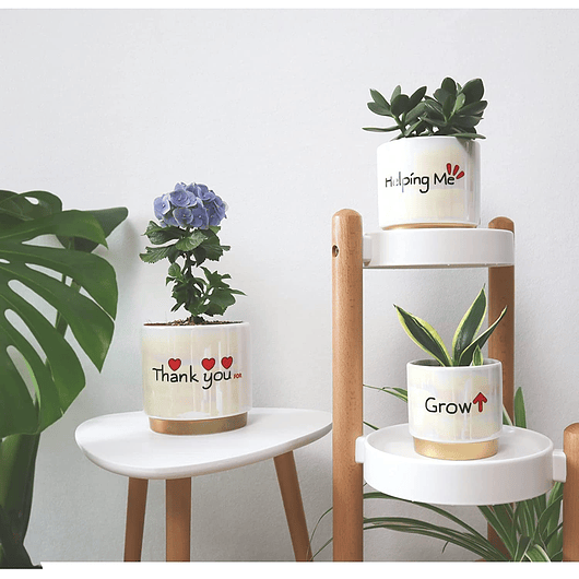 Juego Macetas Cerámica Esmaltada Cactus Suculentas X3 Unid 2