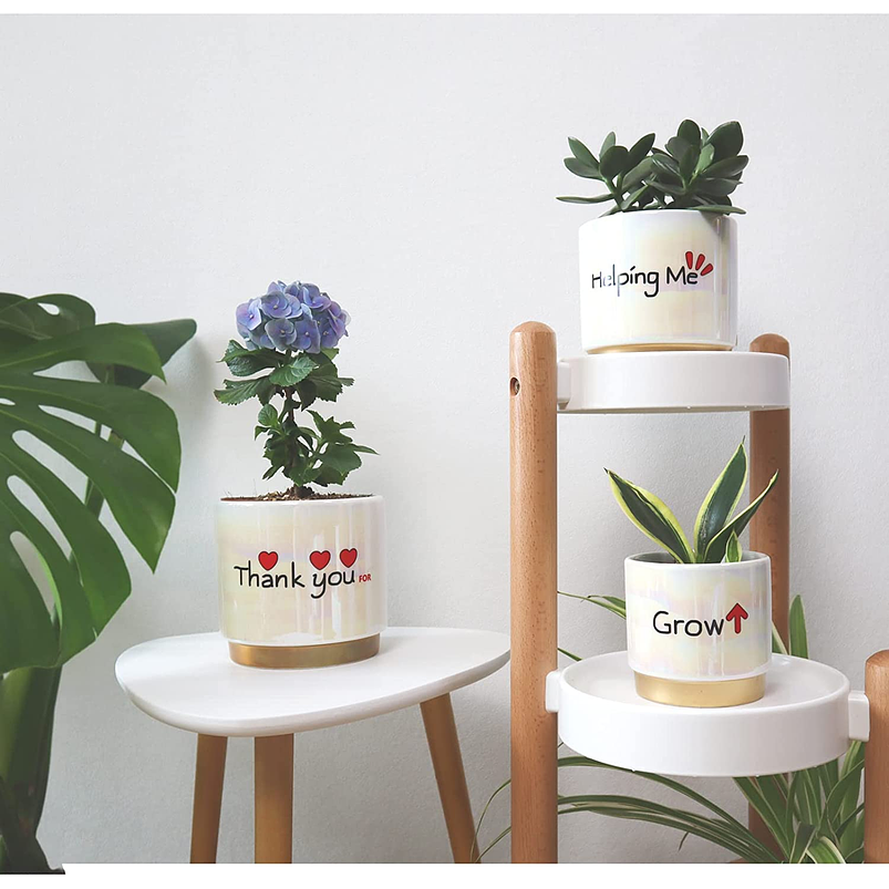 Juego Macetas Cerámica Esmaltada Cactus Suculentas X3 Unid 2