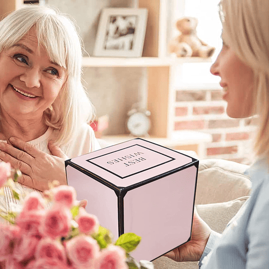 Juego Macetas Cerámica Esmaltada Cactus Suculentas X3 Unid 6