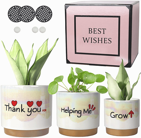 Juego Macetas Cerámica Esmaltada Cactus Suculentas X3 Unid