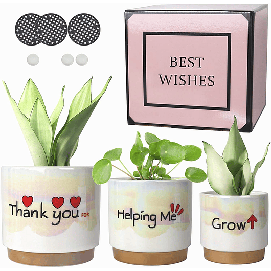 Juego Macetas Cerámica Esmaltada Cactus Suculentas X3 Unid 1