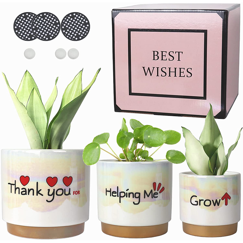 Juego Macetas Cerámica Esmaltada Cactus Suculentas X3 Unid 1