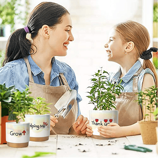 Juego Macetas Cerámica Esmaltada Cactus Suculentas X3 Unid 7