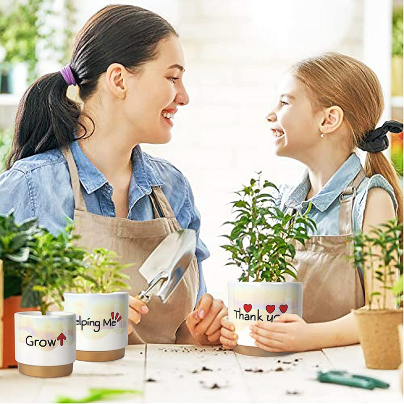 Juego Macetas Cerámica Esmaltada Cactus Suculentas X3 Unid 7