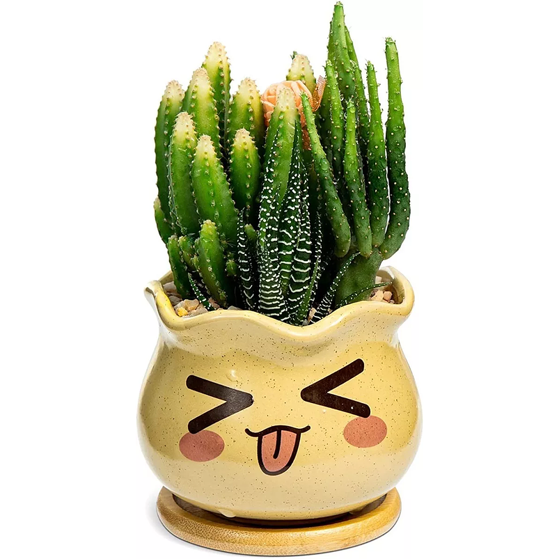 Juego Macetas Cerámica x3 Unidades Plantas, Cactus Y Suculentas 6