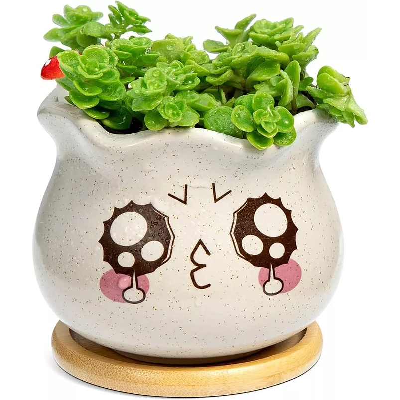 Juego Macetas Cerámica x3 Unidades Plantas, Cactus Y Suculentas 5