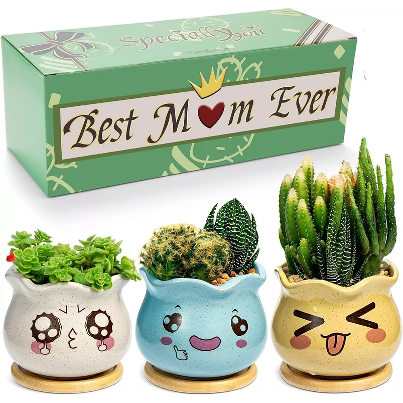 Juego Macetas Cerámica x3 Unidades Plantas, Cactus Y Suculentas 1