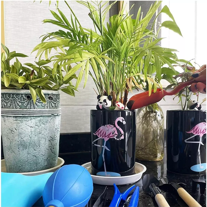 Kit Herramientas Plantas Cactus Suculenta x15 Piezas Azul 7