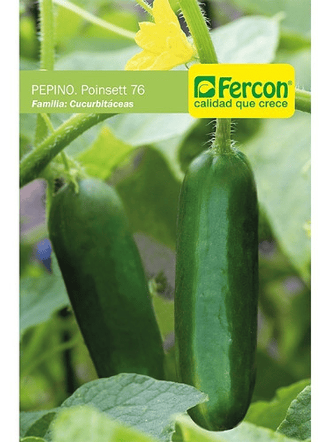 Semillas Siembra Hortaliza Pepino Cohombro x25gr 99% Pureza