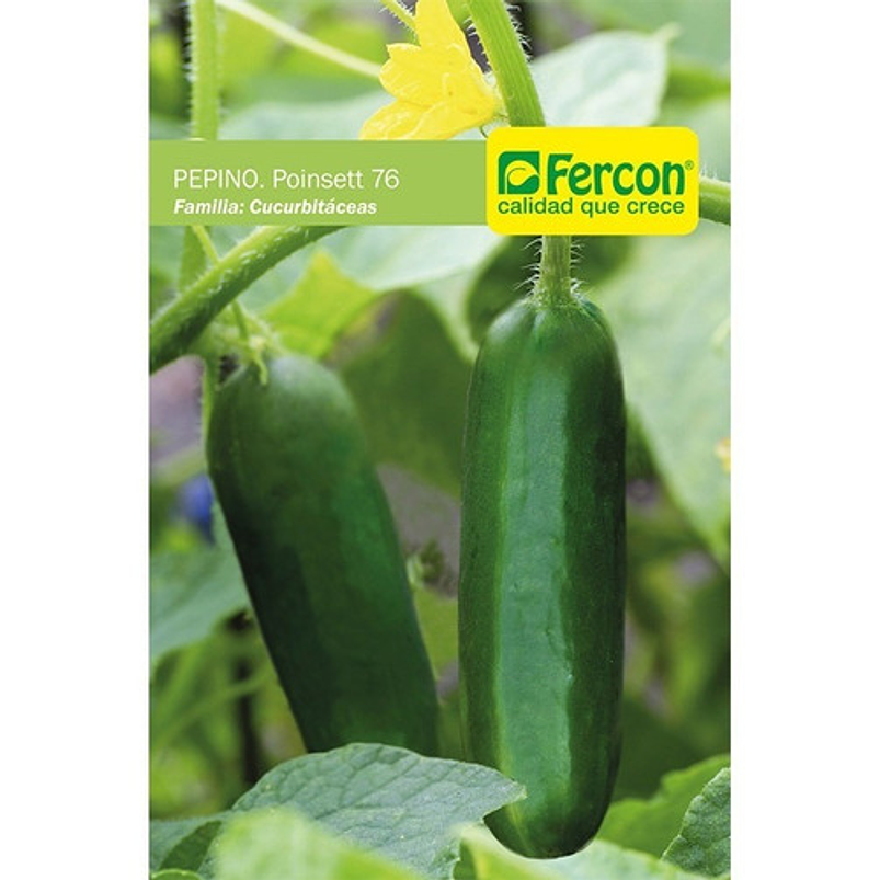 Semillas Siembra Hortaliza Pepino Cohombro x25gr 99% Pureza 1