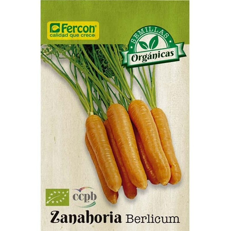 Semillas Orgánicas Siembra Zanahoria Berlicum 99% Pureza 1