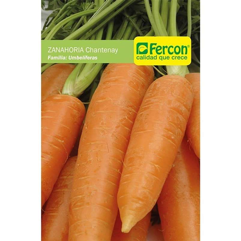 Semillas Siembra Zanahoria Royal Sobre x25gr 99% Pureza 1