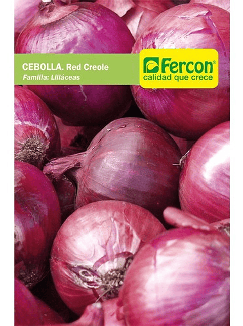 Semillas Hortaliza Siembra Cebolla Roja Sobre 99% Pureza