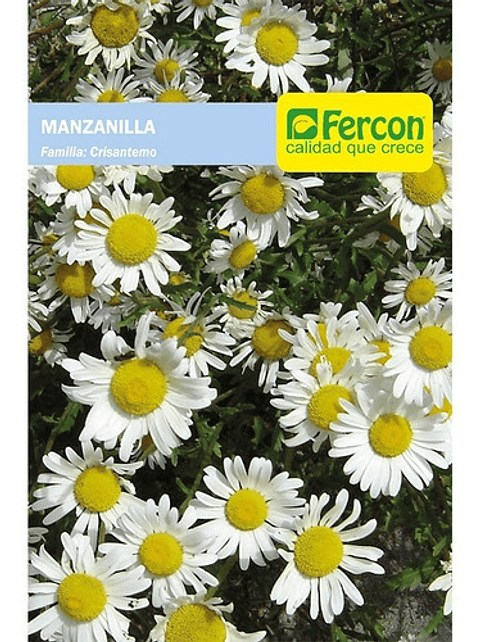 Semillas Hortalizas Siembra Manzanilla Sobre 99% Pureza